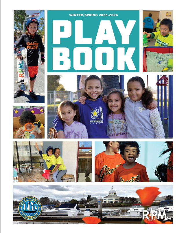 playbook cover.png