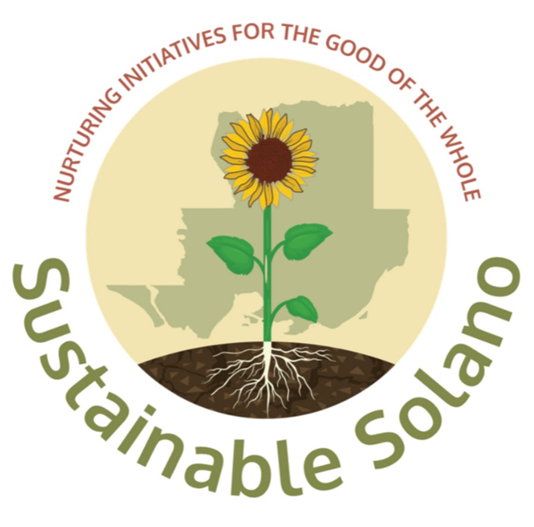 Suisun City Rain Garden Installation - Suisun City, CA